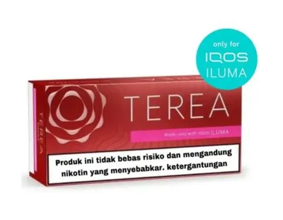 Heets TEREA Sienna Indonesia