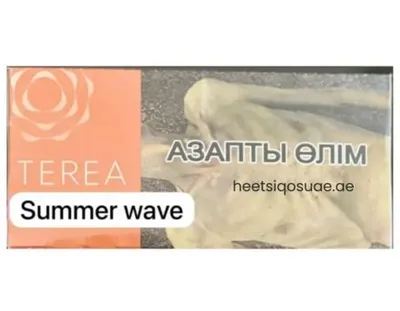 Heets TEREA Summer Wave from Kazakhstan