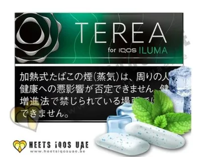 TEREA Black Menthol