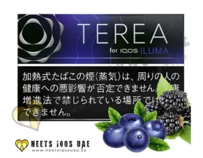 Heets TEREA Black Purple Menthol