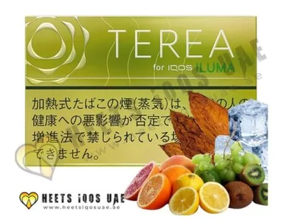 TEREA Bright Menthol