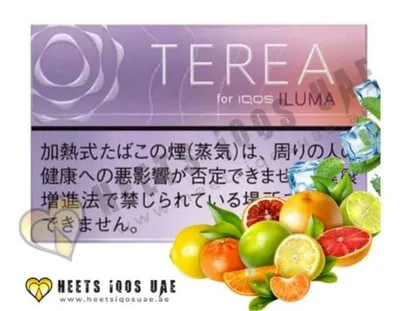 TEREA Fusion Menthol