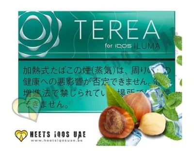 TEREA Menthol