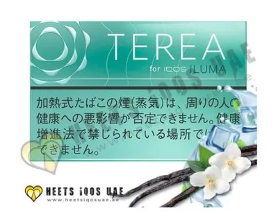 TEREA Mint