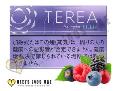 TEREA Purple Menthol