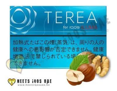 TEREA Regular