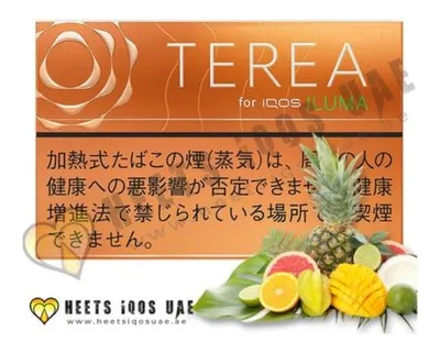 TEREA Tropical Menthol