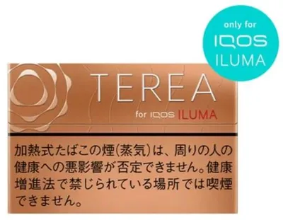 TEREA Warm Regular