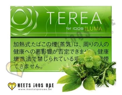 TEREA Yellow Menthol