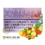 TEREA Fusion Menthol tobacco sticks for IQOS in UAE