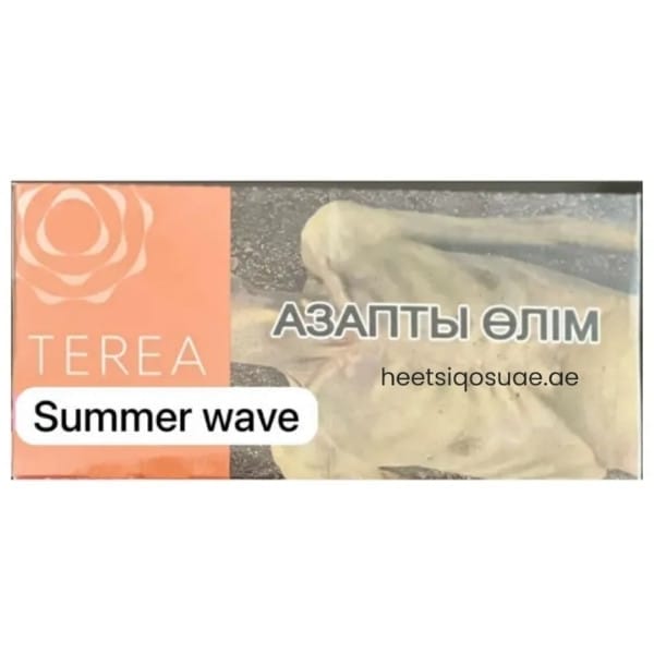 TEREA Summer Wave Kazakhstan fruity menthol sticks in UAE