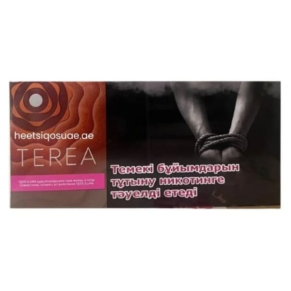 TEREA Sun Pearl Kazakhstan citrus and menthol blend in UAE