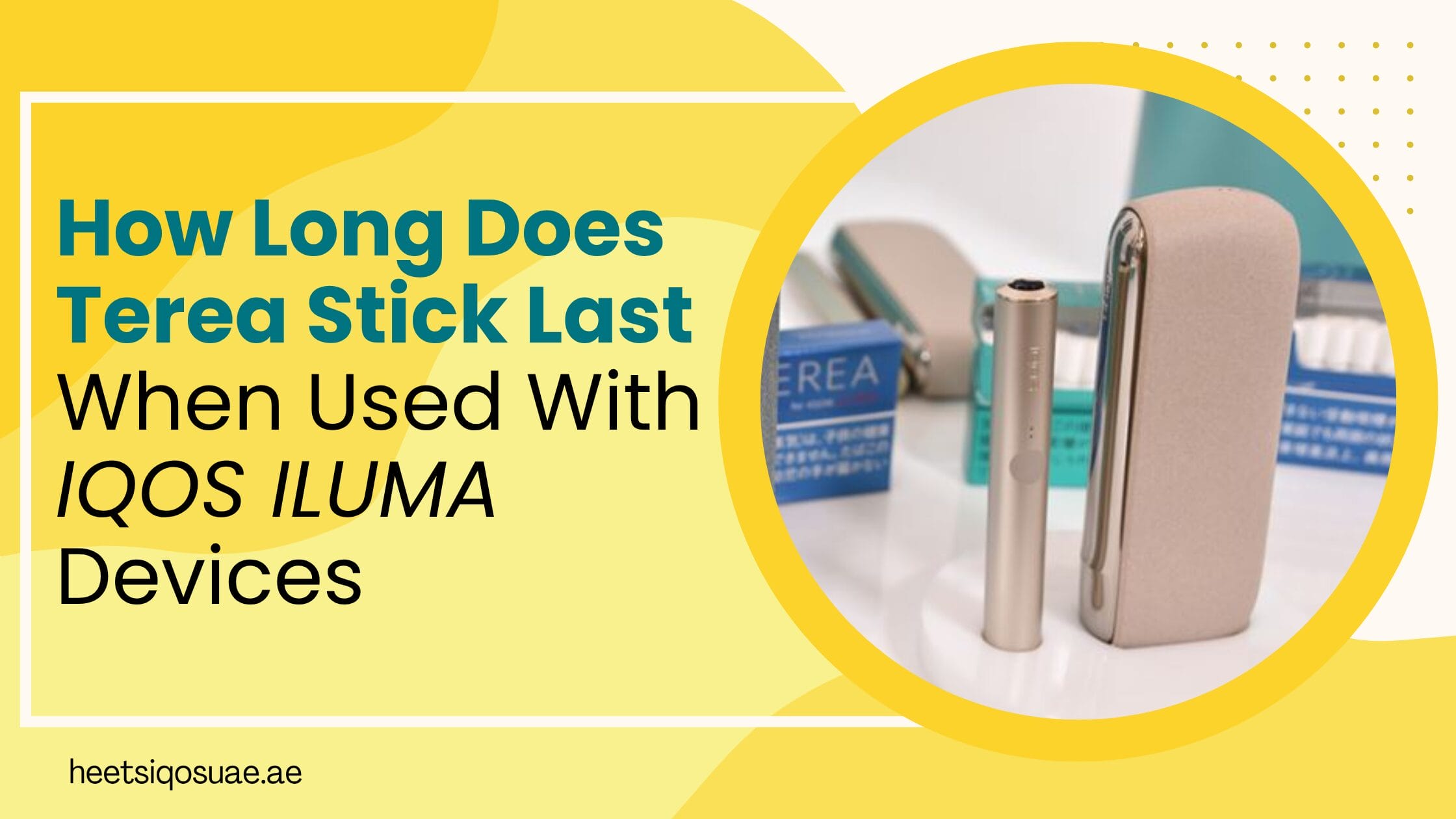 How Long Does TEREA Stick Last? TEREA Stick Session Time