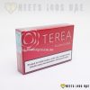 Terea Sienna Indonesia - Image 2